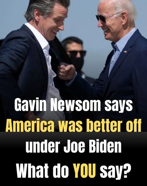 Urgent Warning: Are You Accidentally Dumbing Yourself Down? Why Ignoring Gavin Newsom Is Essential for Your Critical Thinking