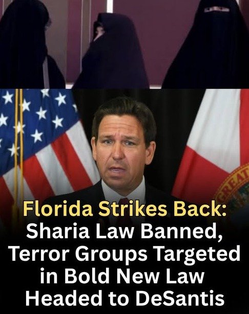 Florida’s Legal Earthquake: Why Lawmakers Are Reinforcing U.S. Supremacy and What It Means for Your Rights!