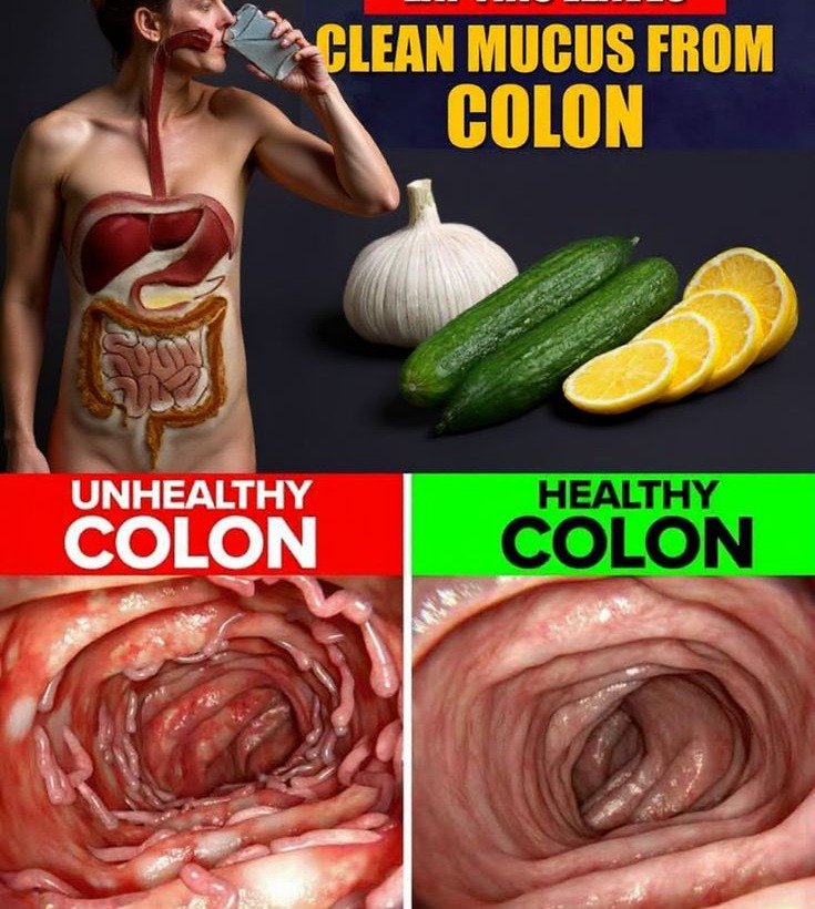 14 Essential Habits for a Robust and Healthy Colon