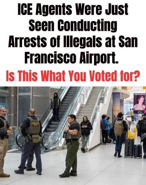 URGENT TRAVEL ALERT: Shocking Truth About Immigration Enforcement at US Airports – What Every Passenger *MUST* Know Before Their Next Flight!