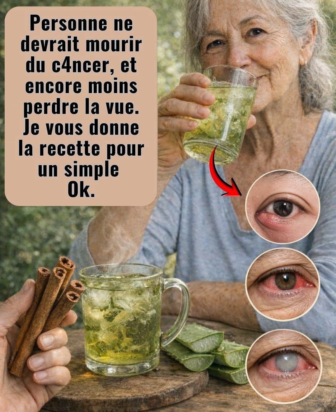 Aloe Vera et Cannelle : Un Duo Naturel Pour Votre Bien-être et la Protection de Votre Vision