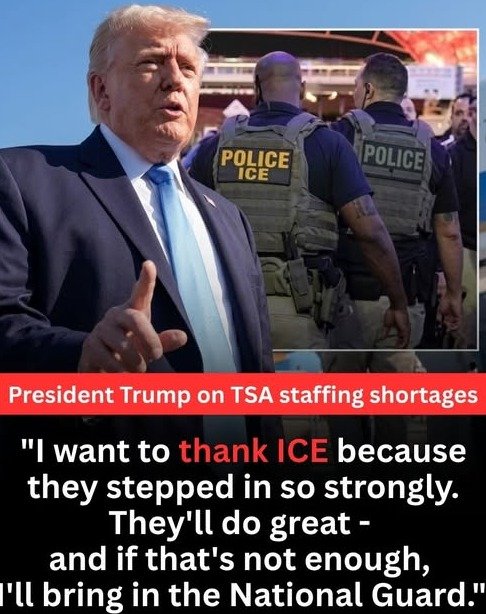 Crisis at the Gates: Why ICE Agents Became Your Last Line of Defense at Airports – And What Trump Said