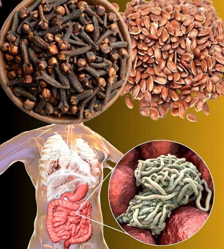 A Natural Approach to Eliminating Intestinal Parasites: The Power of Clove and Flax Seeds