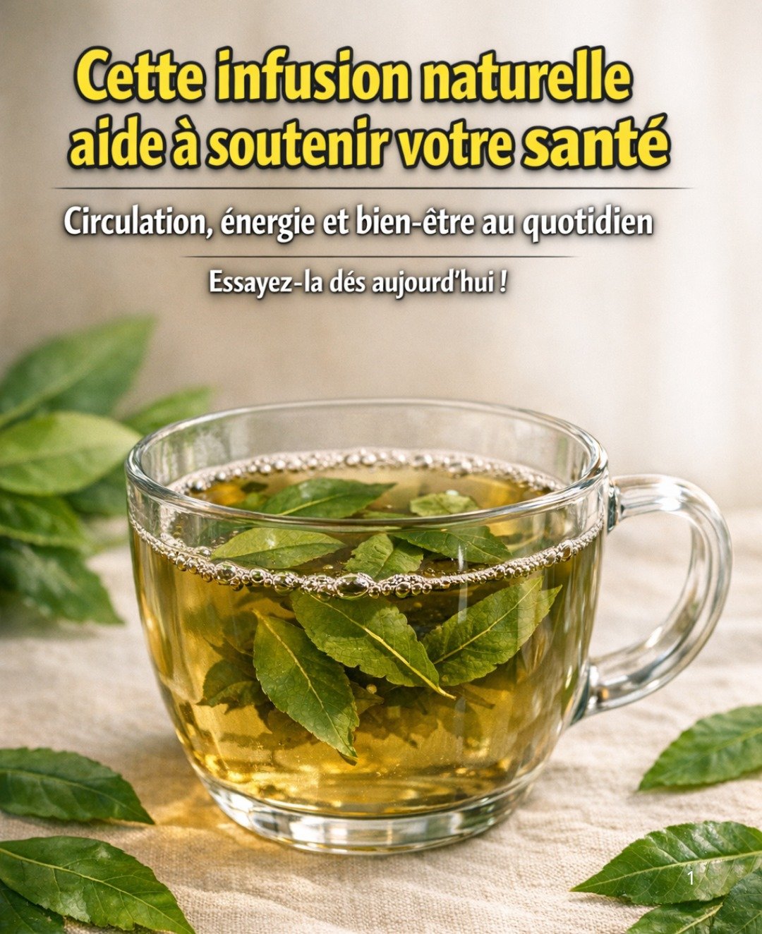 Un Éclat de Vitalité Naturelle : Le Tonique aux Feuilles de Goyave, Corossol, Mangue et Curcuma
