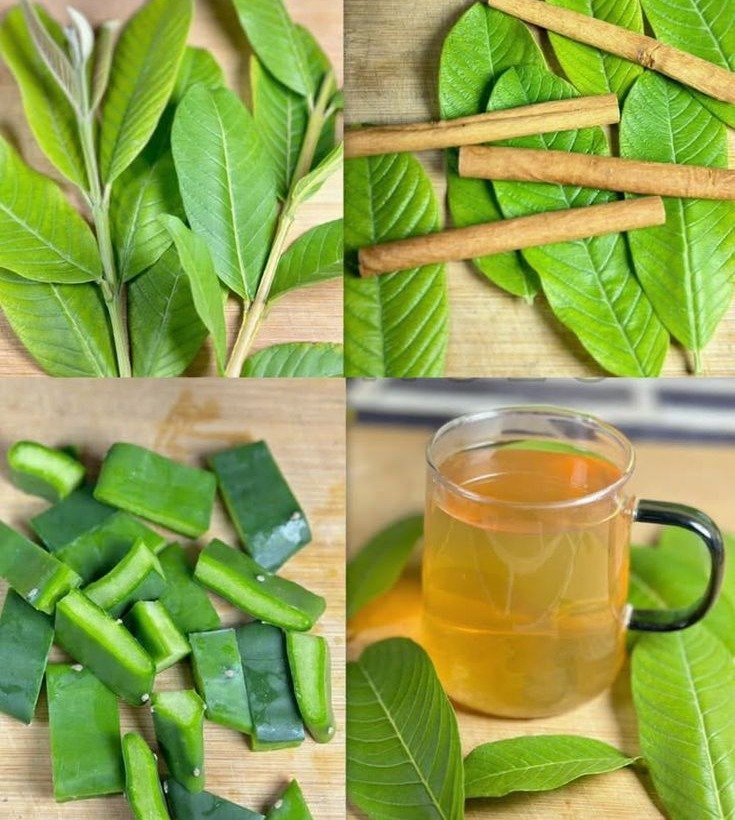Nurturing Your Health Naturally: Dr. Frank Suárez’s Herbal Blend for Circulation, Liver, Blood Sugar, and Joint Comfort