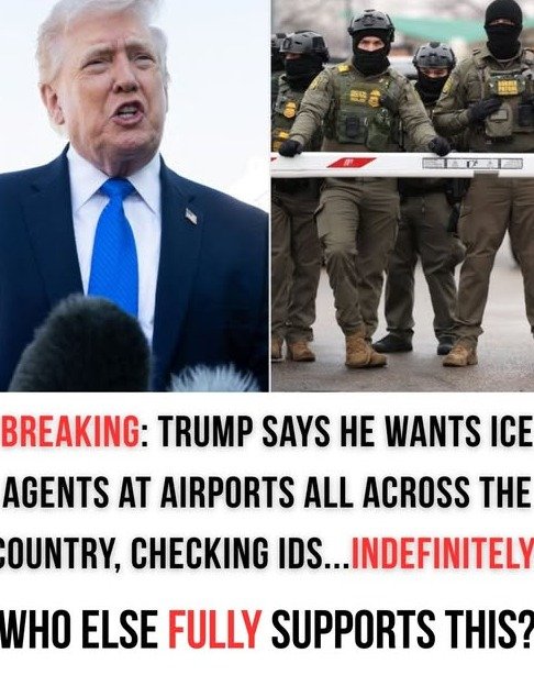 The Unseen Guardians: Why ICE at Airports Isn’t Just Logical, It’s Absolutely Essential for *Your* Safety – Don’t Miss This!