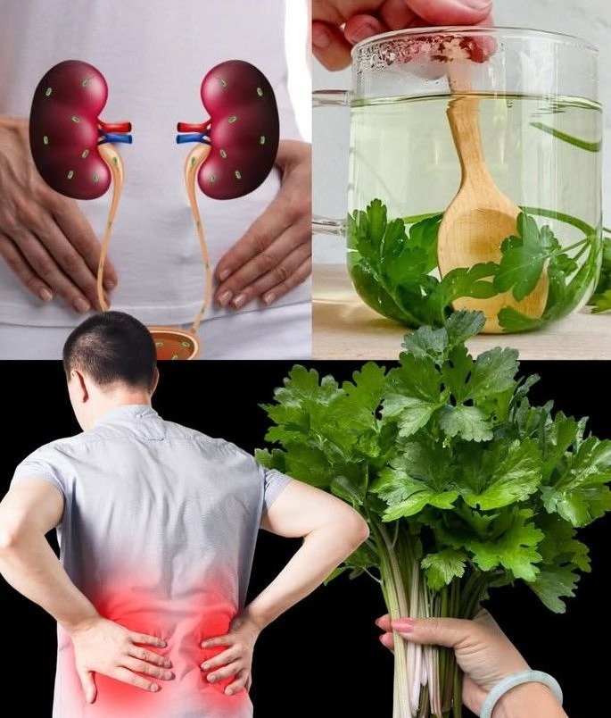 πΏ Revitalize Your Kidneys: An Ancient Herbal Brew for Detoxification